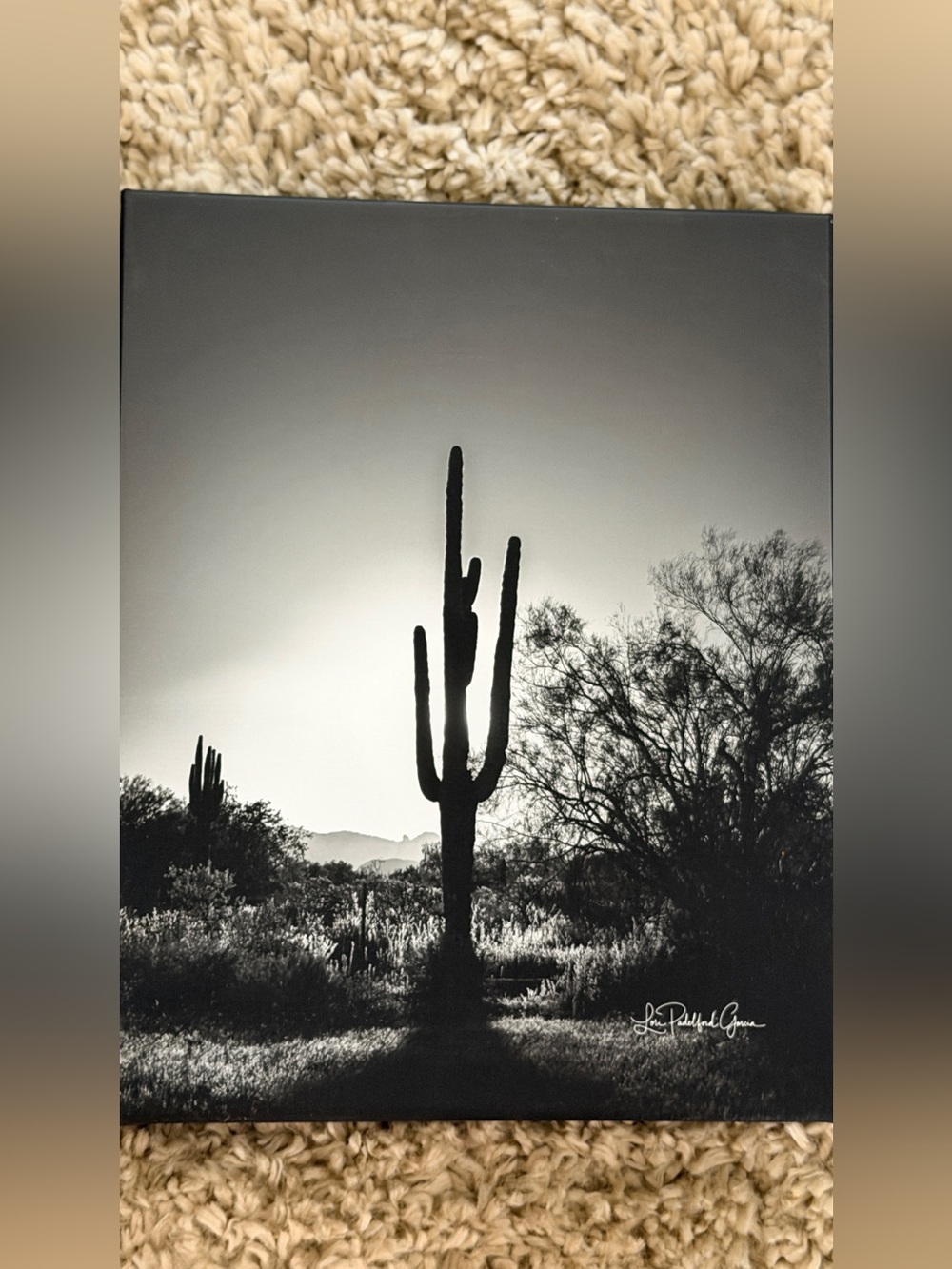 Desert Saguaro Silhouette Canvas 11x14 | Black & White Southwest Wall Art